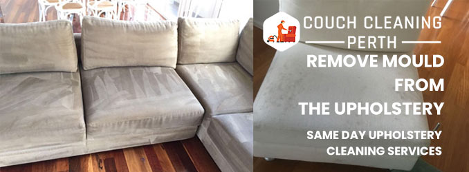 Remove Mould From The Upholstery