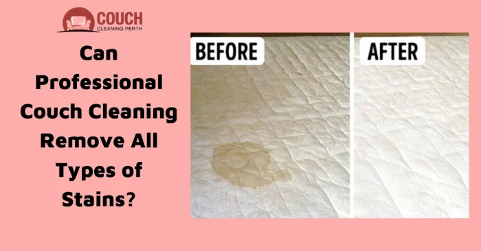 Can Professional Couch Cleaning Remove All Types of Stains